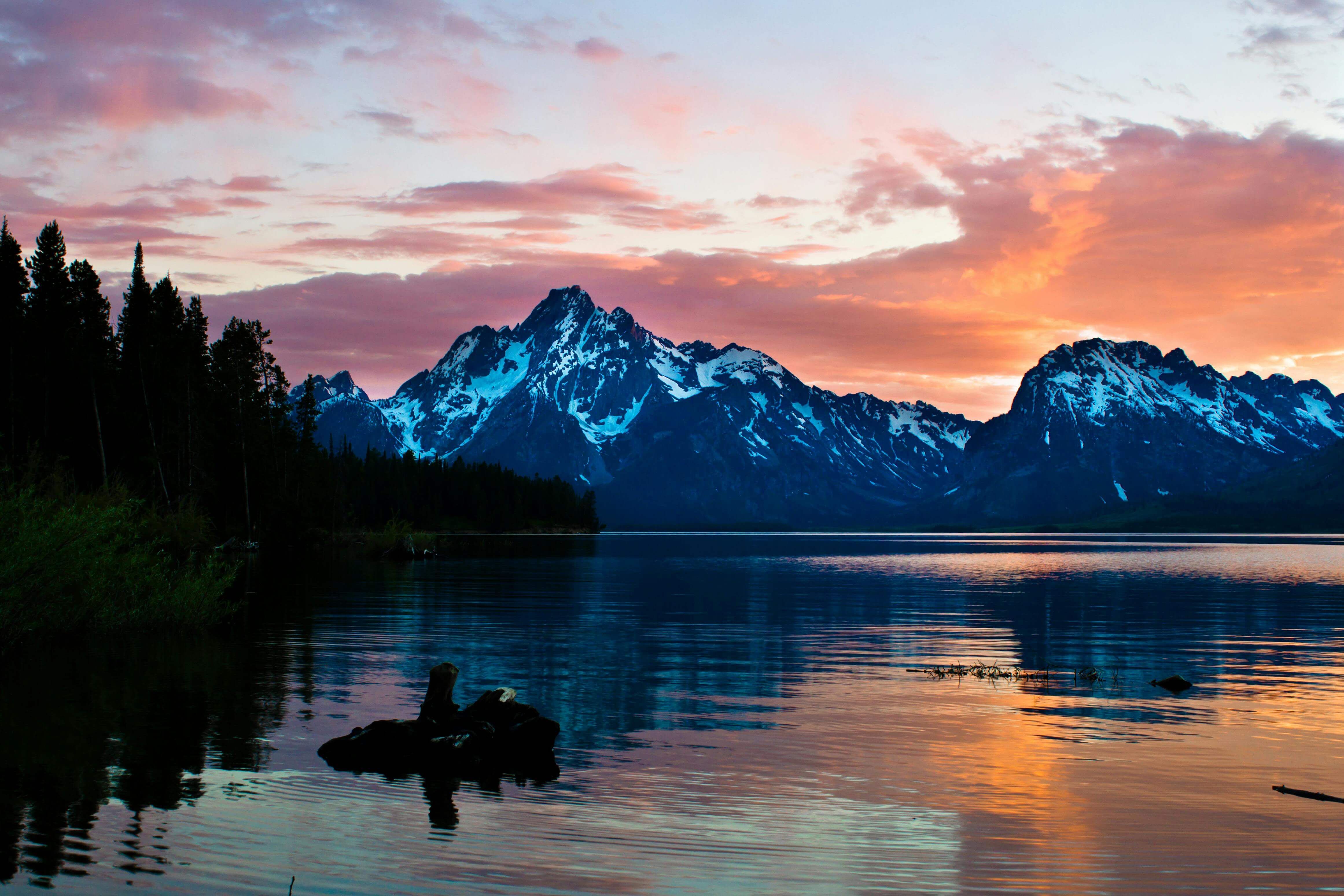 home-banner-background